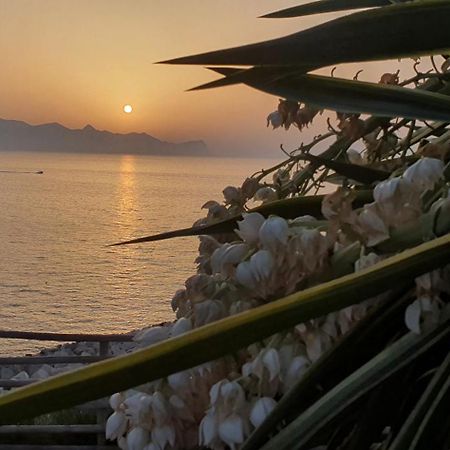 Loft In Balestrate Vicino Al Mare - Rental Beb Екстериор снимка
